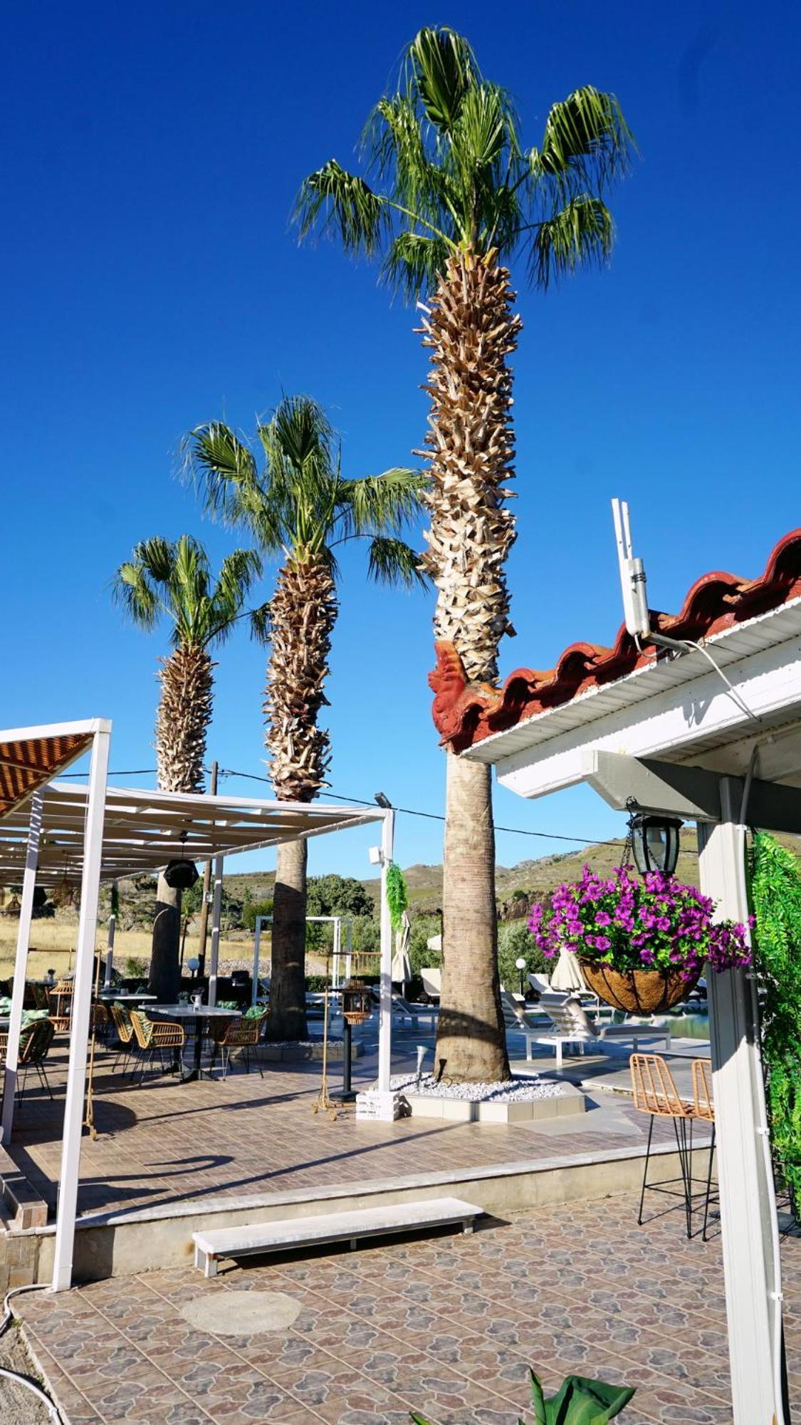 Hotel Marilena Mithimna Dış mekan fotoğraf